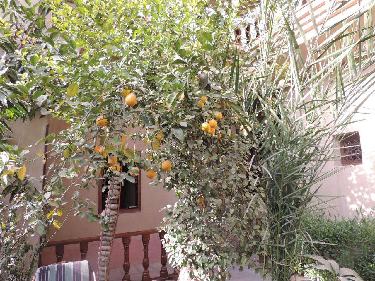 Nile House Pensjonat *